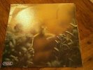 STEELY DAN - KATY LIED