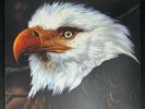 Mogwai The Hawk Is Howling 1st Pressing (2008) LP RARE