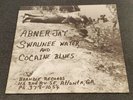 Abner Jay Swaunee Water And Cocaine Blues Vinyl LP, Brandie Records