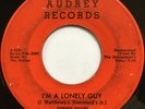 TIMMY SHAW I'm a Lonely Guy DETROIT R&B SOUL 45 Audrey hear