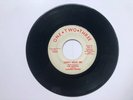 Northern Soul 45 The Martels Clifford Russell Don't Hold Me 1960s 1.2.3 Records