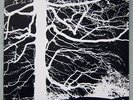 Mirkwood – same, rare deleted Amber Soundroom Reissue, has insert