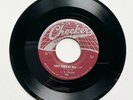 J. B. LENIOR Don't Touch My Head/IBeen Down So Long -CHECKER 856 –WebTop-(VG++)