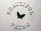 The Stone Roses     Beautiful Thing  12