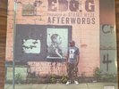 Edo. G ?– Afterwords - 2015 Brand New & Sealed Vinyl LP - EFF1013LP