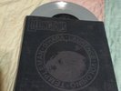 THE LILLINGTONS GREY 7' MASKED INTRUDER NOFX TEENAGE BOTTLEROCKET DAN VAPID
