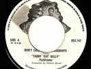 TABBY CAT KELLY-don't call us immigrants   7