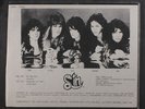 SIN: On The Run 12 (shaped pic disc w/ insert) Metal