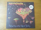 Astralasia - Pitched Up At The Edge Of Reality Vinyl LP + 12