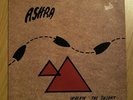 Ashra 'Walkin' the Desert' LP