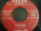 ROCKABILLY 45...HAROLD AND BOB...SPITFIRE...DELTA 45-503...OVERALL VG