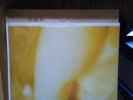 Smashing Pumpkins Pisces Iscariot 1994 # 981 of 2000 DON'T PAY UNTIL INVOICED