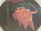 Black Sabbath Paranoid Picture Disc LP NEP 6003B  Zeema Records UK Import