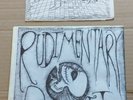 RUDIMENTARY PENI 7