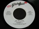 Debbie S.   Try My Love / Beware   Flaming Arrow   Detroit modern soul 45 HEAR