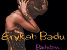 Erykah Badu - Baduizm: Black Vinyl 2xLP [BRAND NEW]