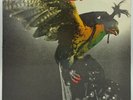 BUDGIE 'In For The Kill ' original 1974 UK vinyl LP