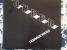The Undertones Teenage Kicks EX 12