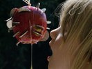 Puce Mary - The Drought - Electronic - Noise - Drone - Experimental - Vinyl LP