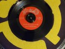 Sunny & The Sunliners 