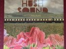 The Hush Sound Goodbye Blues Lp 2008 Fueled By Ramen Rare Vinyl Limited