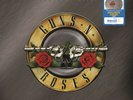 Guns N Roses - Greatest Hits - Limited - Paradise City Splatter-2LP- VINYL- NEW