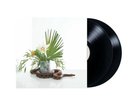 WHITE NOISE -- Noah Gundersen Vinyl Double LP SEALED w/ Digital Download