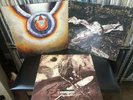 David Sylvian 3LPs: GONE TO EARTH, SECRETS OF THE BEEHIVE, PLIGHT & PREMONITION