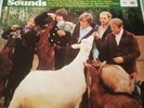 The Beach Boys - Pet Sounds Mono Vinyl