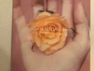MADONNA       12