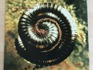 NINE INCH NAILS: FURTHER AWAY/CLOSER GOD 2x12