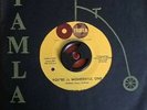 northern soul/motown 45 Marvin Gaye You're a wonderful one EX Condition