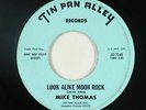 Psych 45 - Mike Thomas - Look Alike Moon Rock - Tin Pan Alley - mp3 - obscure