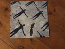muse absolution vinyl First Press