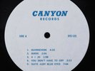 CROSBY STILLS NASH & YOUNG Wooden Nickel CANYON LP VG+ **