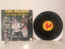 the shaggs philosophy of the world vinyl lp rounder records red rooster jandek