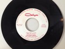 The Wild Ones 1966 Tale Of A City 45 Orlyn 66791 Indiana Garage WOL RARE VG+/VG+