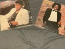 Thriller [LP] And Off The Wall [LP] by Michael Jackson Vinyl Records