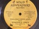 Digi WINSTON FINCH You Cant Hide Love 45 Lovers Rock 7