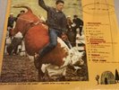 Light Up Gold by Parquet Courts (Vinyl, Jan-2013, What's Yr Rupture?)