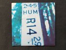HUM New Unplayed Promo Only 45 RPM Rare Vinyl Beauty Band From Champaign IL