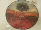 Opeth ?– Heritage 2011 RARE Picture Disc 500 Pressed NM Progressive Metal Rock