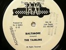 The TAMLINS 12