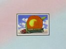 Allman Brothers Band ?- Eat A Peach LP 180 Gram Vinyl Album REMASTERED Record