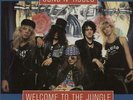 Guns N Roses Welcome To The Jungle USA 7