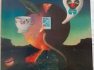 Lp 33 Vinile NICK DRAKE 