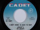 Deep Soul 45 BARBARA I Don't Want To Have To Wait CADET one sided promo HEAR *