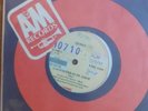 Queen Las Palabras De Amour Rare South Africa 7