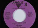 70s Soul Funk 45 LEE FIELDS Mighty Mighty Love ANGLE 3 HEAR *