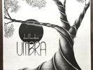 Joel Fairstein Umbra LP Thunderhead Records RARE PRIVATE PRESS JAZZ FUNK